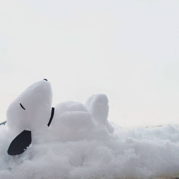 Bildschirmarbeiter - Picdump 20.01.2017