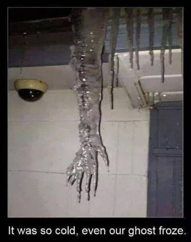 Bildschirmarbeiter - Picdump 20.01.2017