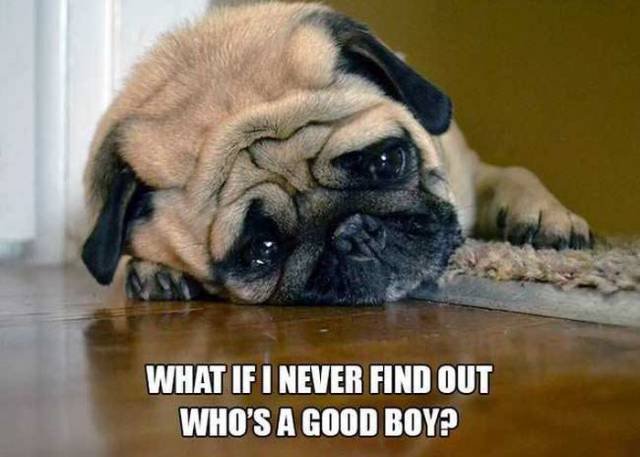 Bildschirmarbeiter - Picdump 20.01.2017