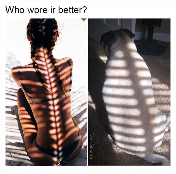 Bildschirmarbeiter - Picdump 20.01.2017