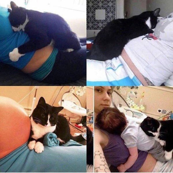 Bildschirmarbeiter - Picdump 20.01.2017