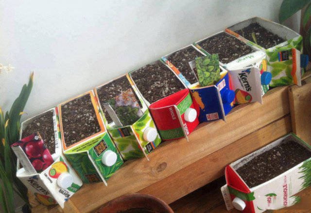 Bildschirmarbeiter - Picdump 20.01.2017