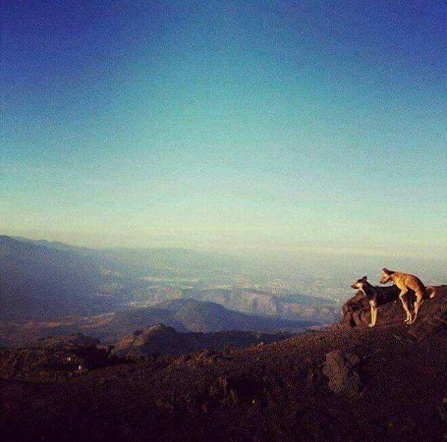 Bildschirmarbeiter - Picdump 20.01.2017