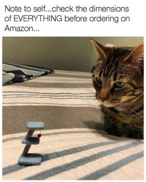 Bildschirmarbeiter - Picdump 20.01.2017