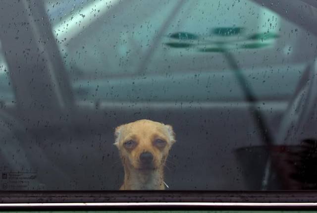 Bildschirmarbeiter - Picdump 20.01.2017