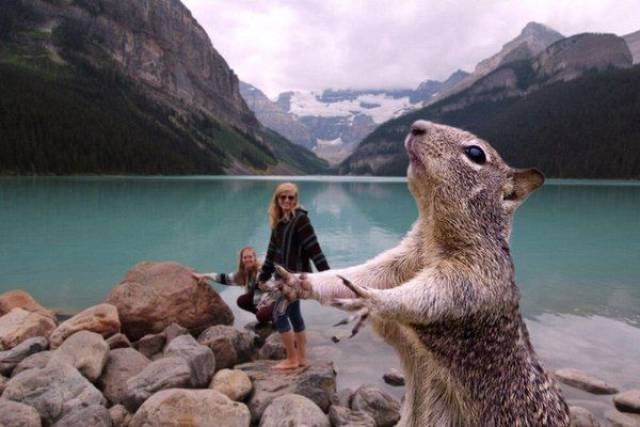 Bildschirmarbeiter - Picdump 20.01.2017