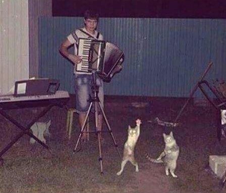 Bildschirmarbeiter - Picdump 20.01.2017