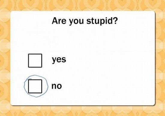 Bildschirmarbeiter - Picdump 20.01.2017