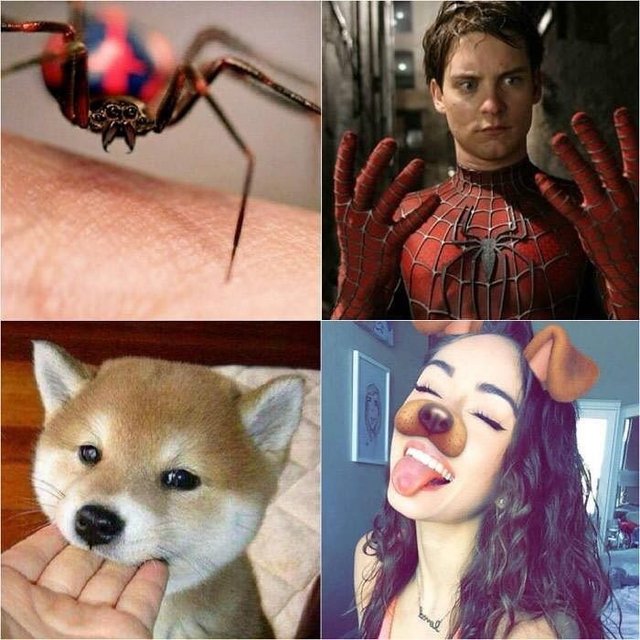 Bildschirmarbeiter - Picdump 27.01.2017