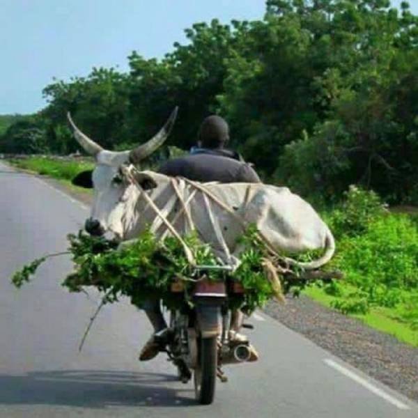 Bildschirmarbeiter - Picdump 27.01.2017