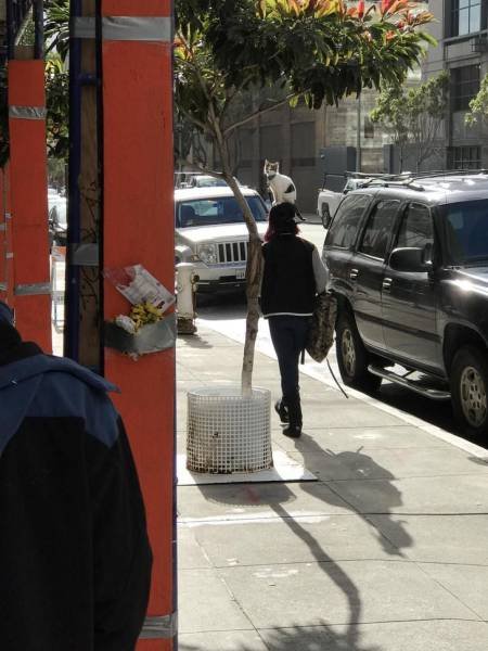 Bildschirmarbeiter - Picdump 27.01.2017