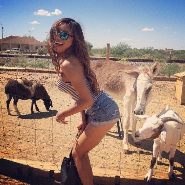 Bildschirmarbeiter - Picdump 27.01.2017