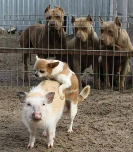 Bildschirmarbeiter - Picdump 27.01.2017