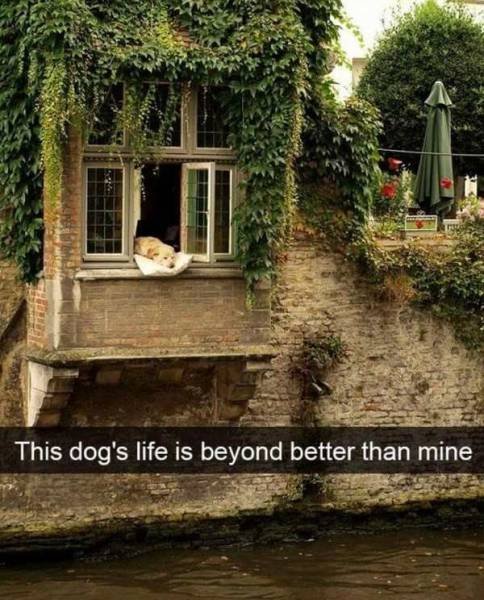 Bildschirmarbeiter - Picdump 27.01.2017