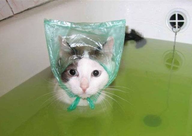 Bildschirmarbeiter - Picdump 27.01.2017