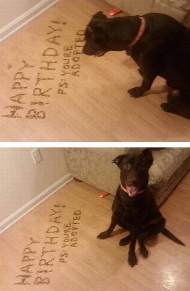 Bildschirmarbeiter - Picdump 27.01.2017