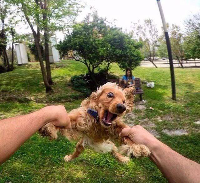 Bildschirmarbeiter - Picdump 27.01.2017