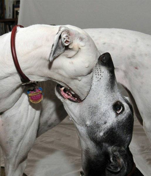 Bildschirmarbeiter - Picdump 27.01.2017