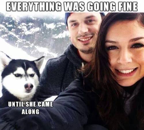 Bildschirmarbeiter - Picdump 27.01.2017