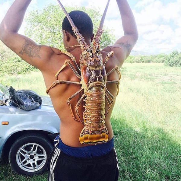 Bildschirmarbeiter - Picdump 27.01.2017