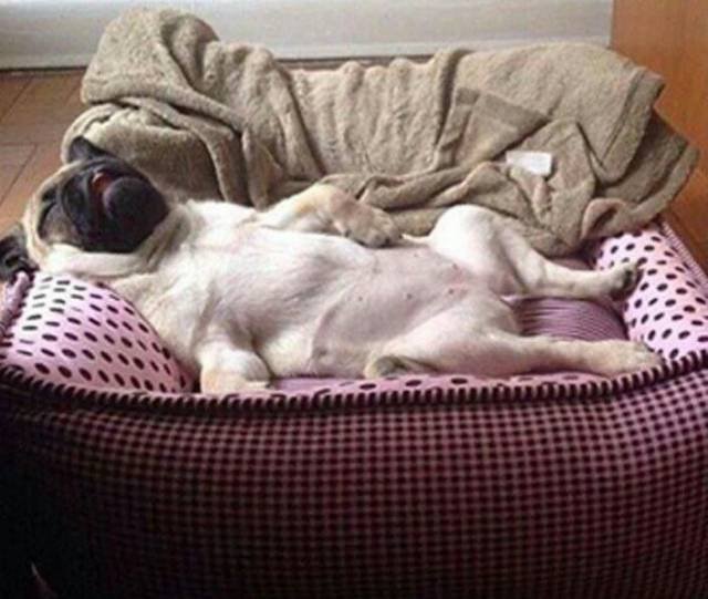 Bildschirmarbeiter - Picdump 27.01.2017