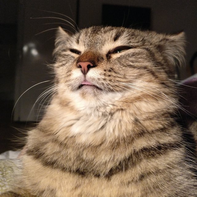 Bildschirmarbeiter - Picdump 27.01.2017