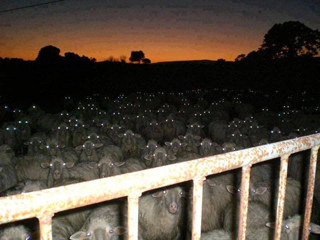 Bildschirmarbeiter - Picdump 27.01.2017