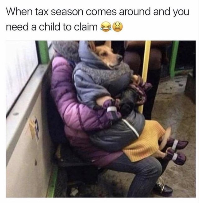 Bildschirmarbeiter - Picdump 03.02.2017