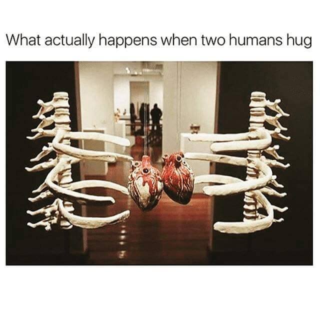 Bildschirmarbeiter - Picdump 03.02.2017