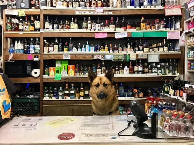 Bildschirmarbeiter - Picdump 03.02.2017