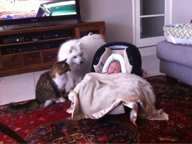 Bildschirmarbeiter - Picdump 03.02.2017