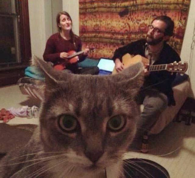 Bildschirmarbeiter - Picdump 03.02.2017