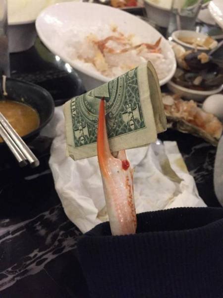 Bildschirmarbeiter - Picdump 03.02.2017