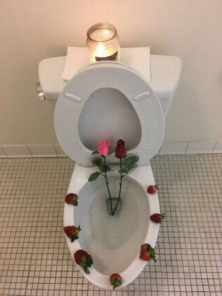 Bildschirmarbeiter - Picdump 03.02.2017