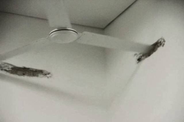 Bildschirmarbeiter - Picdump 03.02.2017