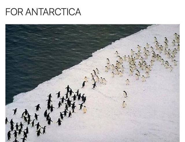 Bildschirmarbeiter - Picdump 03.02.2017