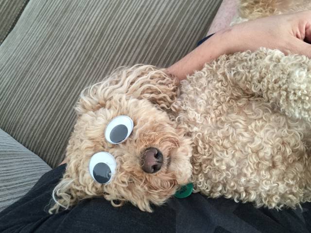 Bildschirmarbeiter - Picdump 03.02.2017