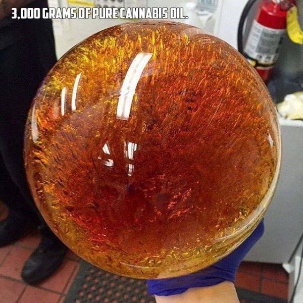 Bildschirmarbeiter - Picdump 03.02.2017