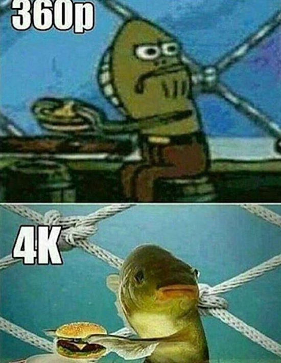 Bildschirmarbeiter - Picdump 03.02.2017