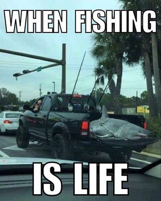 Bildschirmarbeiter - Picdump 03.02.2017