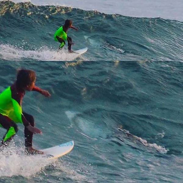 Bildschirmarbeiter - Picdump 03.02.2017