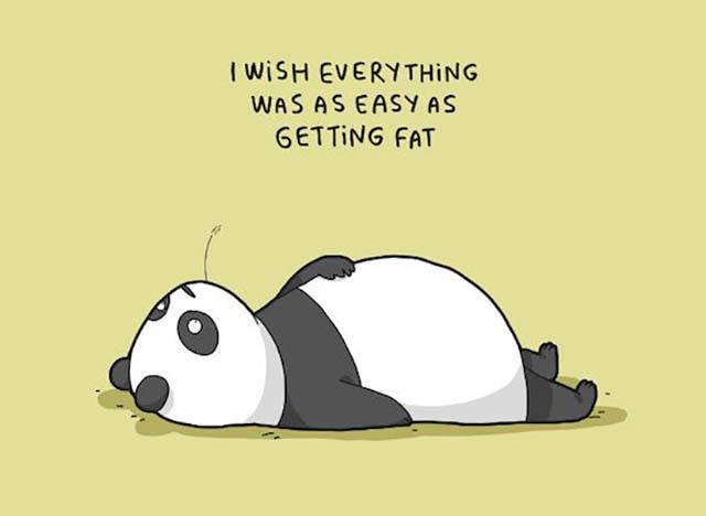 Bildschirmarbeiter - Picdump 03.02.2017