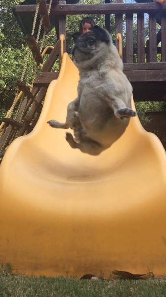 Bildschirmarbeiter - Picdump 10.02.2017