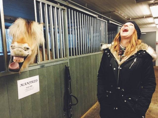 Bildschirmarbeiter - Picdump 10.02.2017