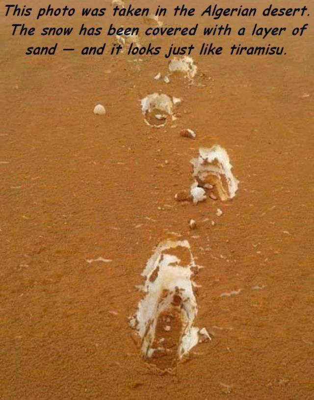 Bildschirmarbeiter - Picdump 10.02.2017