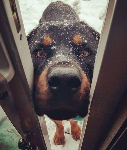 Bildschirmarbeiter - Picdump 10.02.2017