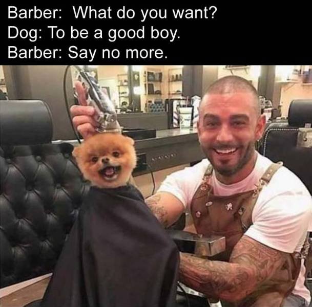 Bildschirmarbeiter - Picdump 10.02.2017