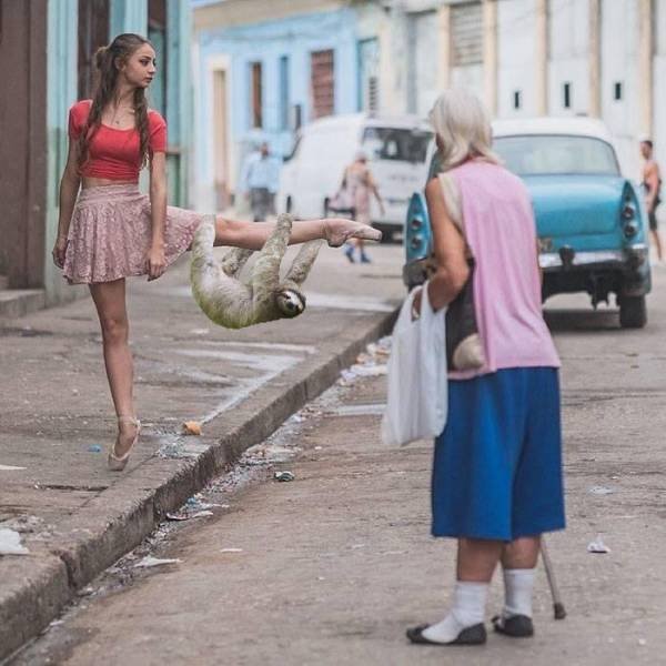 Bildschirmarbeiter - Picdump 10.02.2017