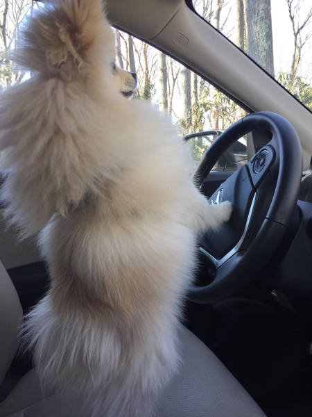 Bildschirmarbeiter - Picdump 10.02.2017