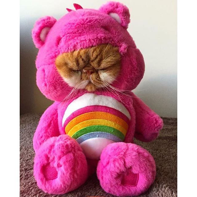 Bildschirmarbeiter - Picdump 10.02.2017